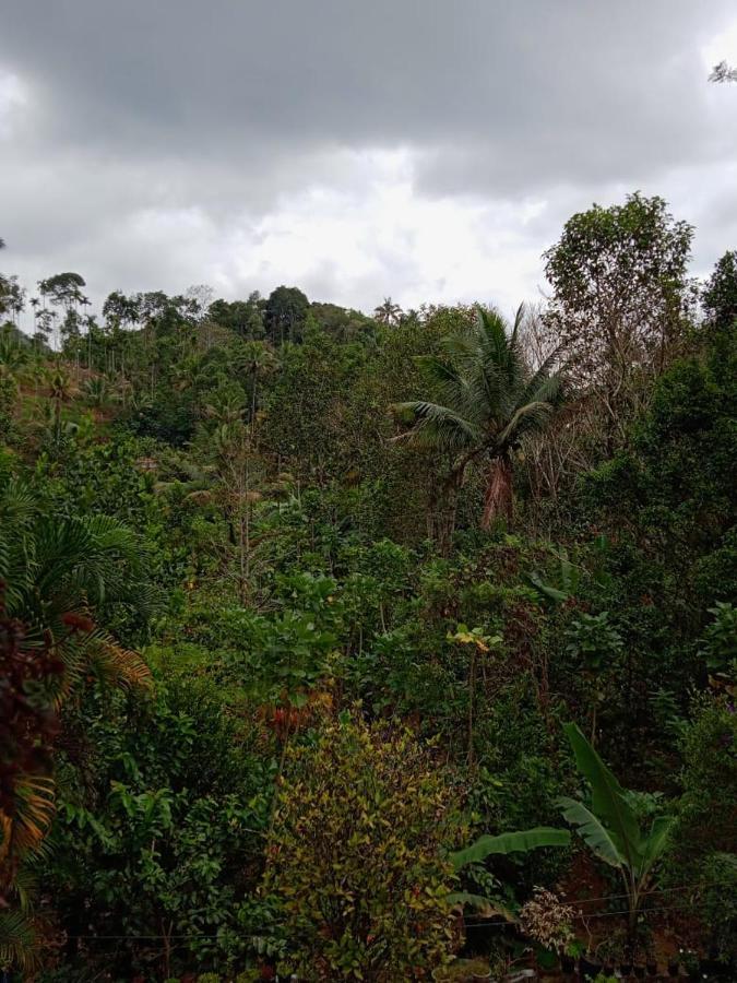 Maliyeckal Homestay Munnar Exterior photo