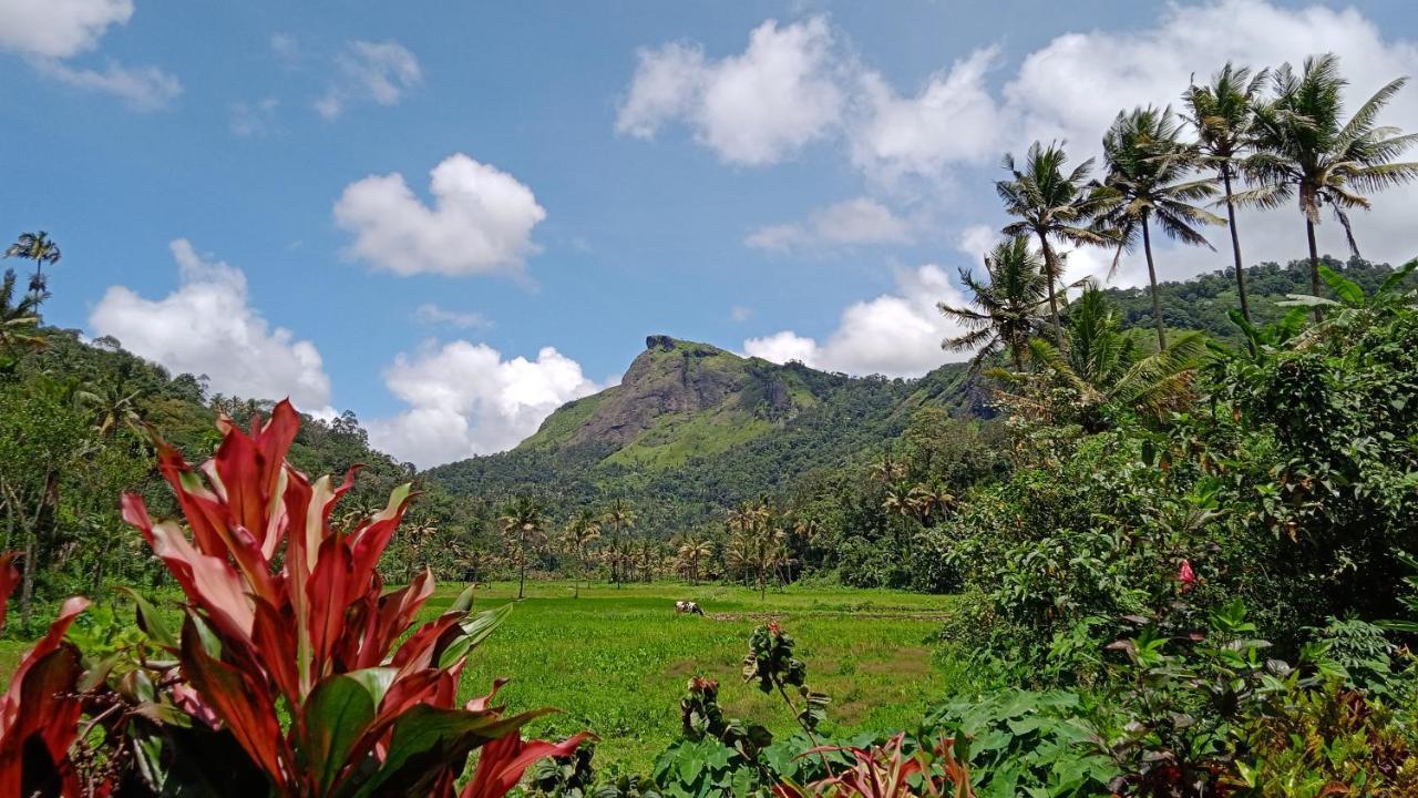 Maliyeckal Homestay Munnar Exterior photo