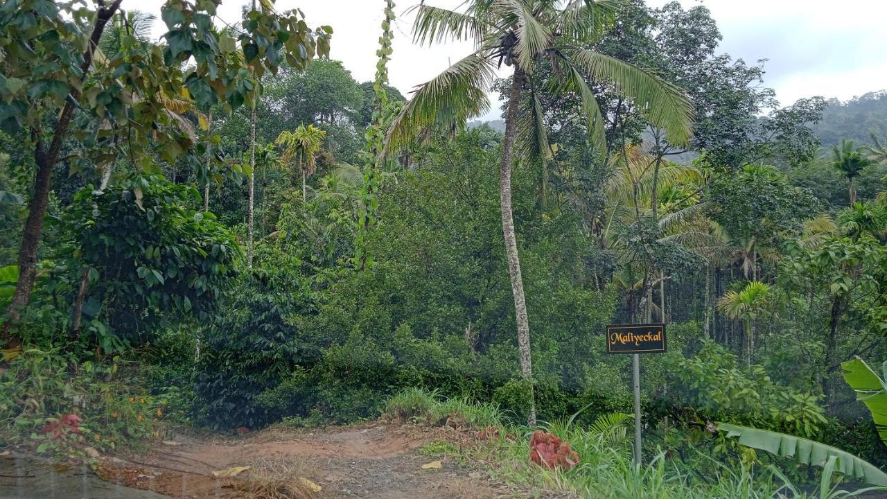 Maliyeckal Homestay Munnar Exterior photo