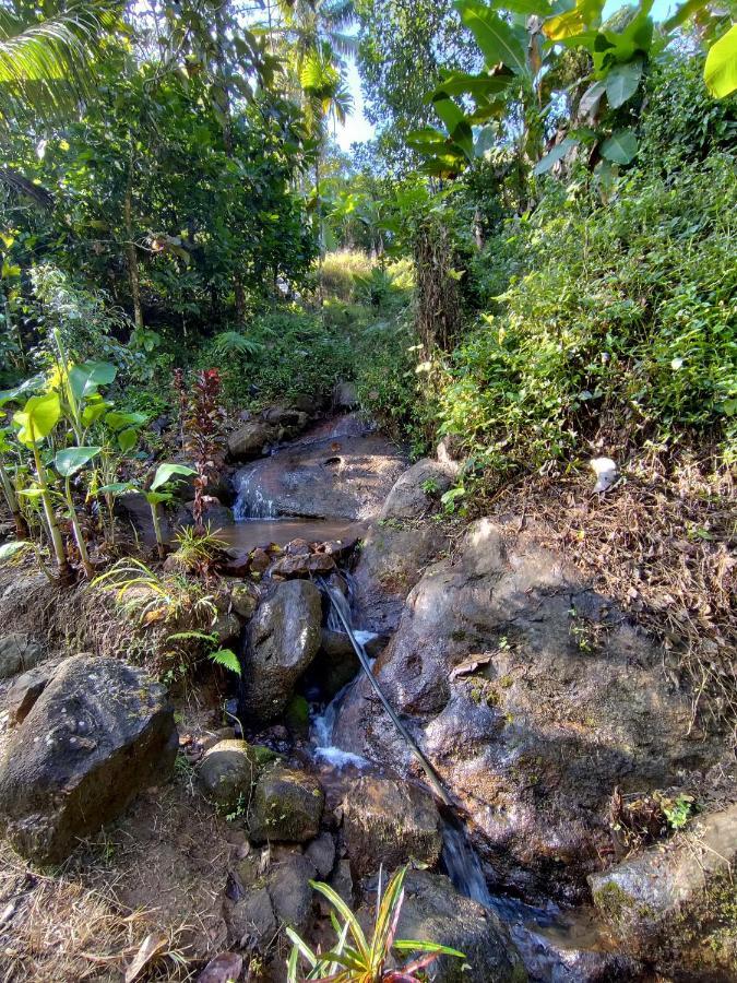 Maliyeckal Homestay Munnar Exterior photo