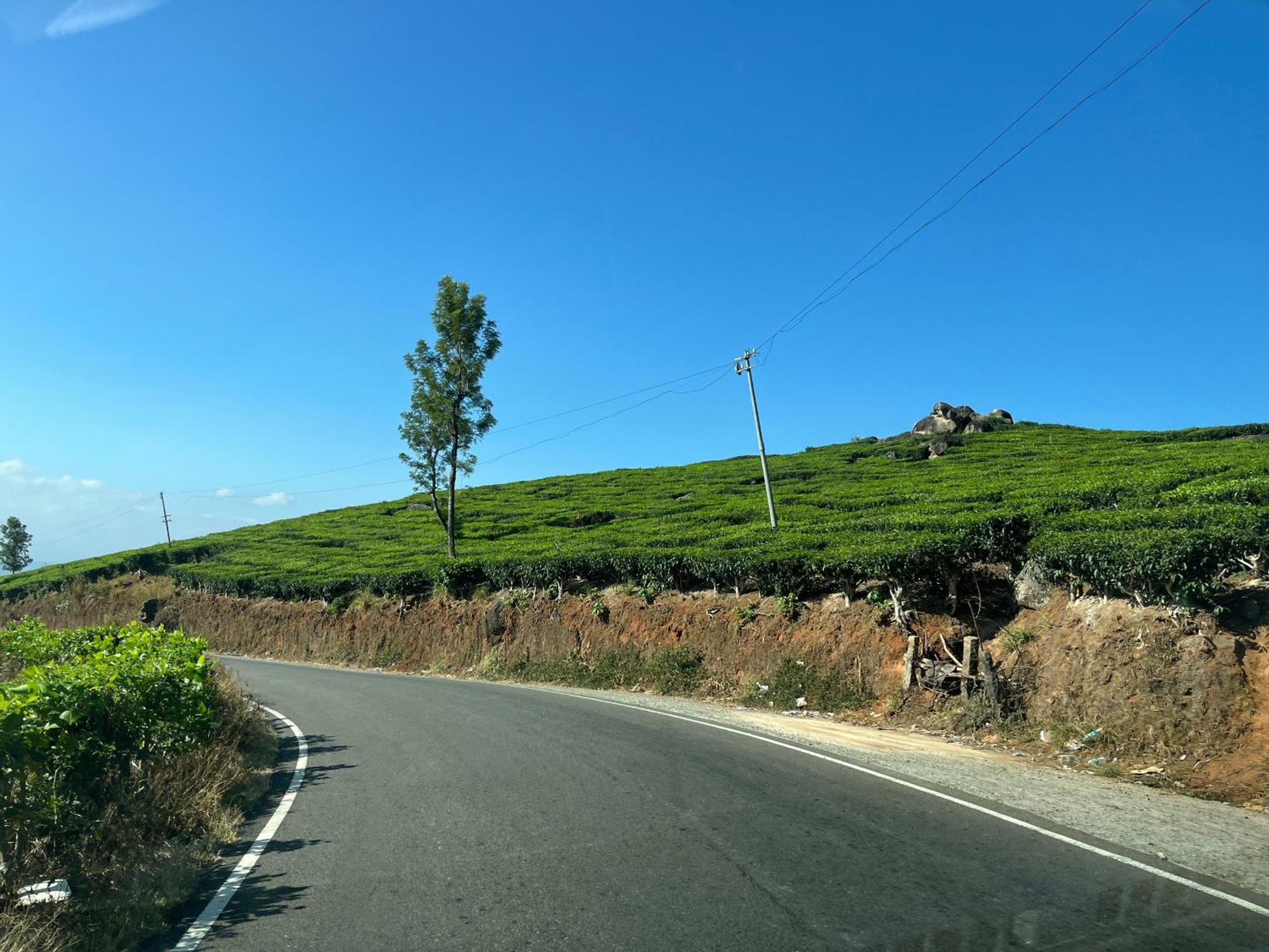 Maliyeckal Homestay Munnar Exterior photo