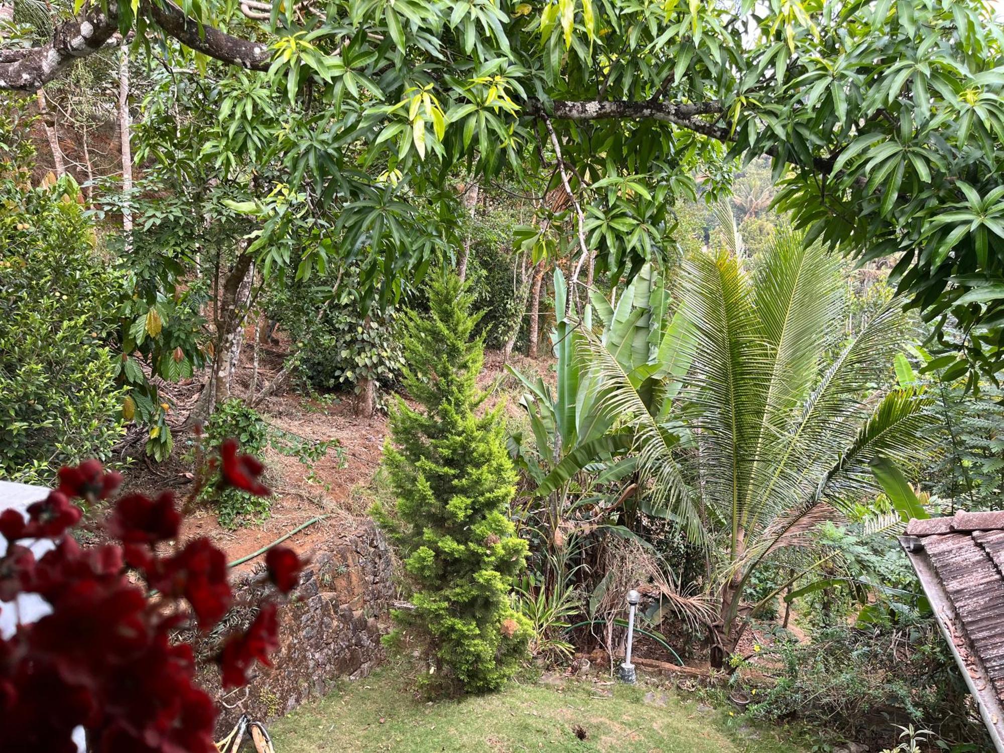 Maliyeckal Homestay Munnar Exterior photo